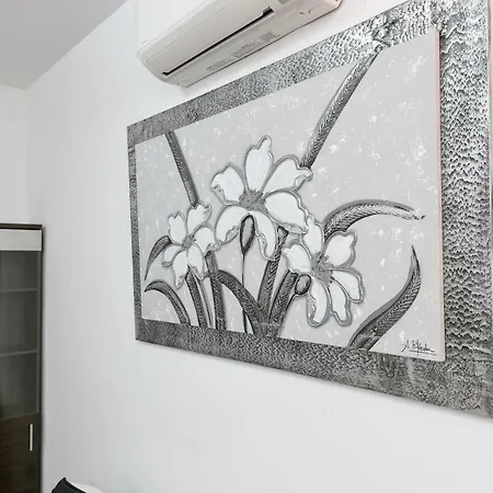 Luxury City Centre Malaga